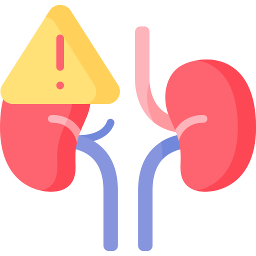 kidney 1